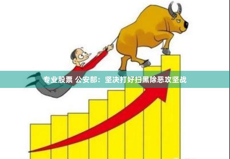 专业股票 公安部：坚决打好扫黑除恶攻坚战