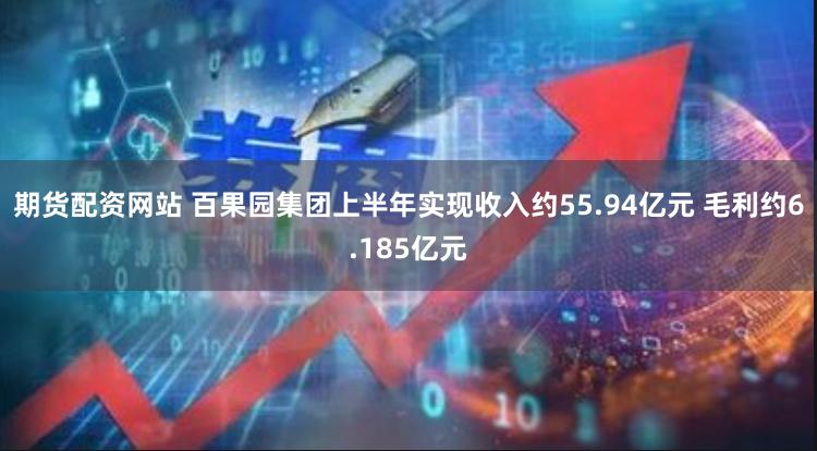 期货配资网站 百果园集团上半年实现收入约55.94亿元 毛利约6.185亿元