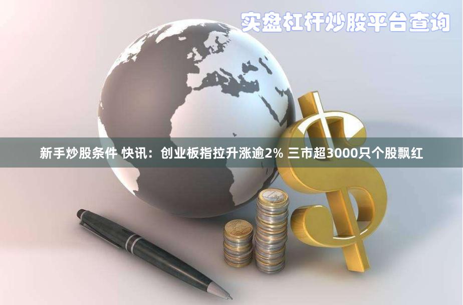 新手炒股条件 快讯：创业板指拉升涨逾2% 三市超3000只个股飘红