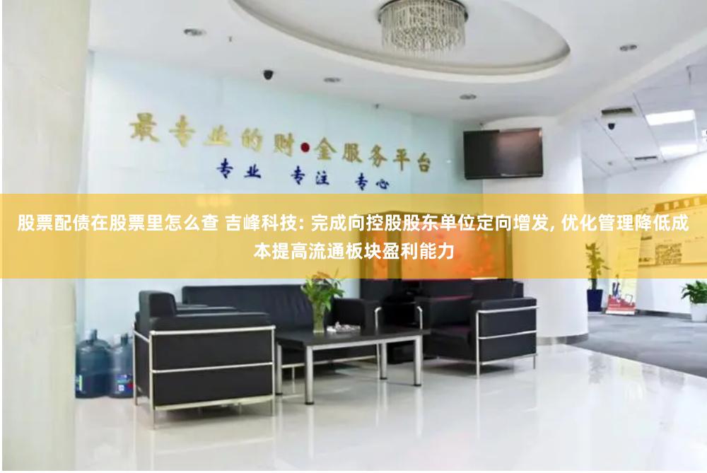 股票配债在股票里怎么查 吉峰科技: 完成向控股股东单位定向增发, 优化管理降低成本提高流通板块盈利能力