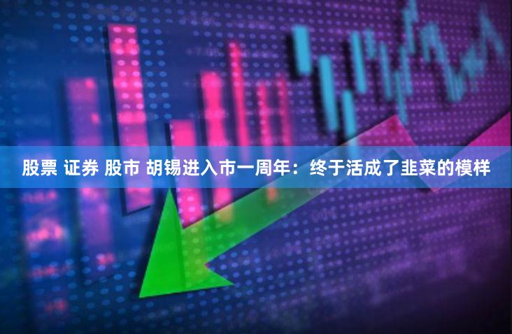 股票 证券 股市 胡锡进入市一周年：终于活成了韭菜的模样