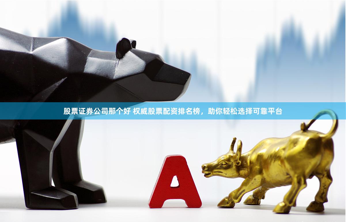 股票证券公司那个好 权威股票配资排名榜，助你轻松选择可靠平台