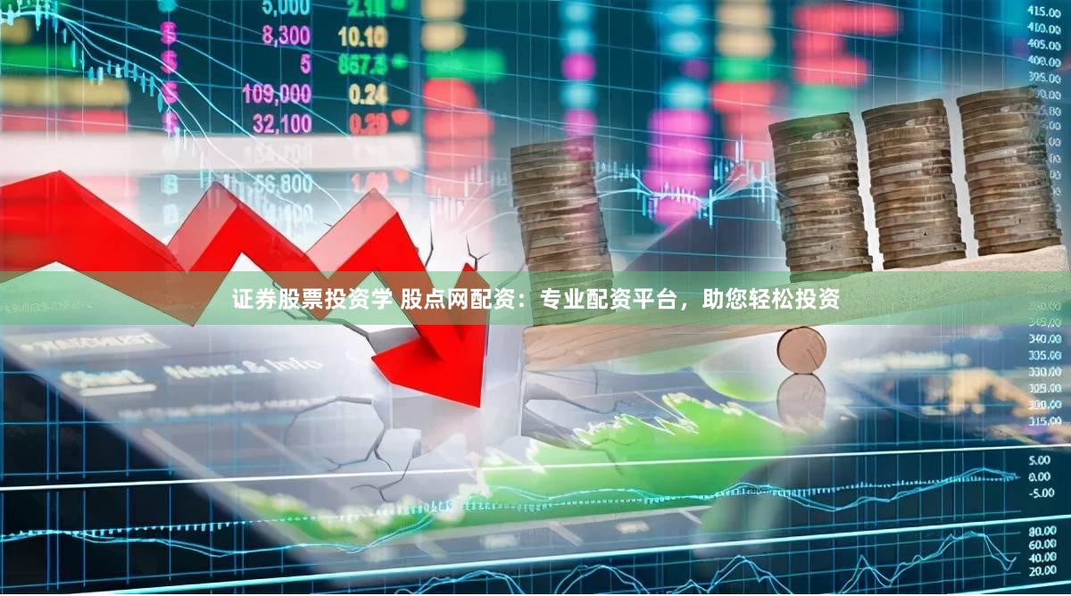 证券股票投资学 股点网配资：专业配资平台，助您轻松投资